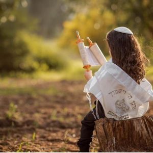 סט חלאקה | יודאיקה הכל בקודש